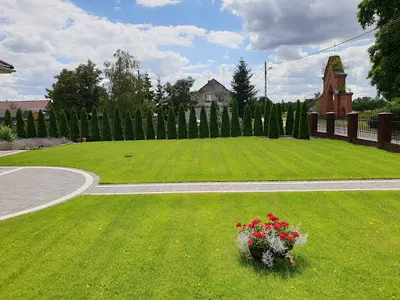 Usługi Ogrodnicze Artur